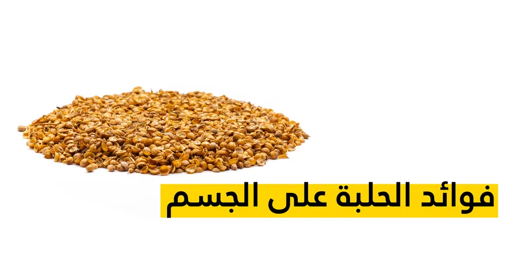 فوائد الحلبة على الجسم